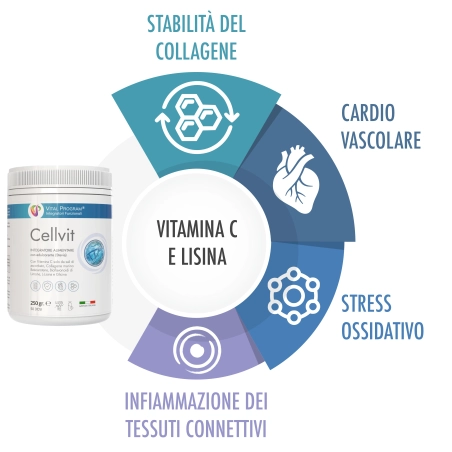 integratore naturale di vitamina c ad alto dosaggio
