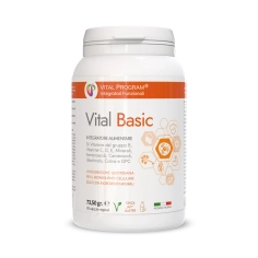 vital basic