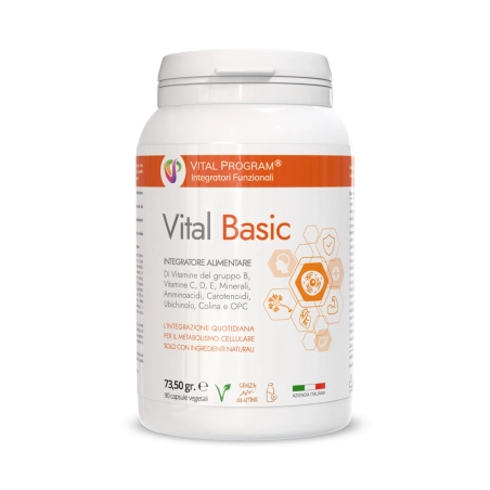 vital basic vital basic