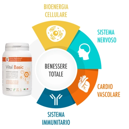 integratore naturale di vitamine minerali e aminoacidi integratore naturale di vitamine minerali e aminoacidi