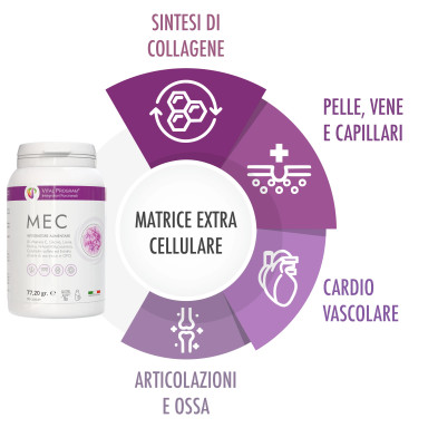 integratore per articolazioni