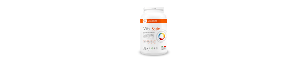 Vital Basic